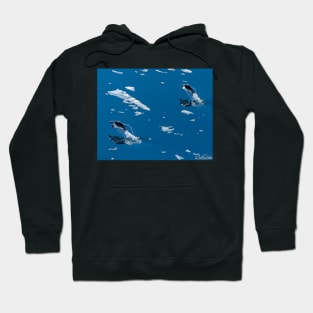 Flying Penguins Hoodie